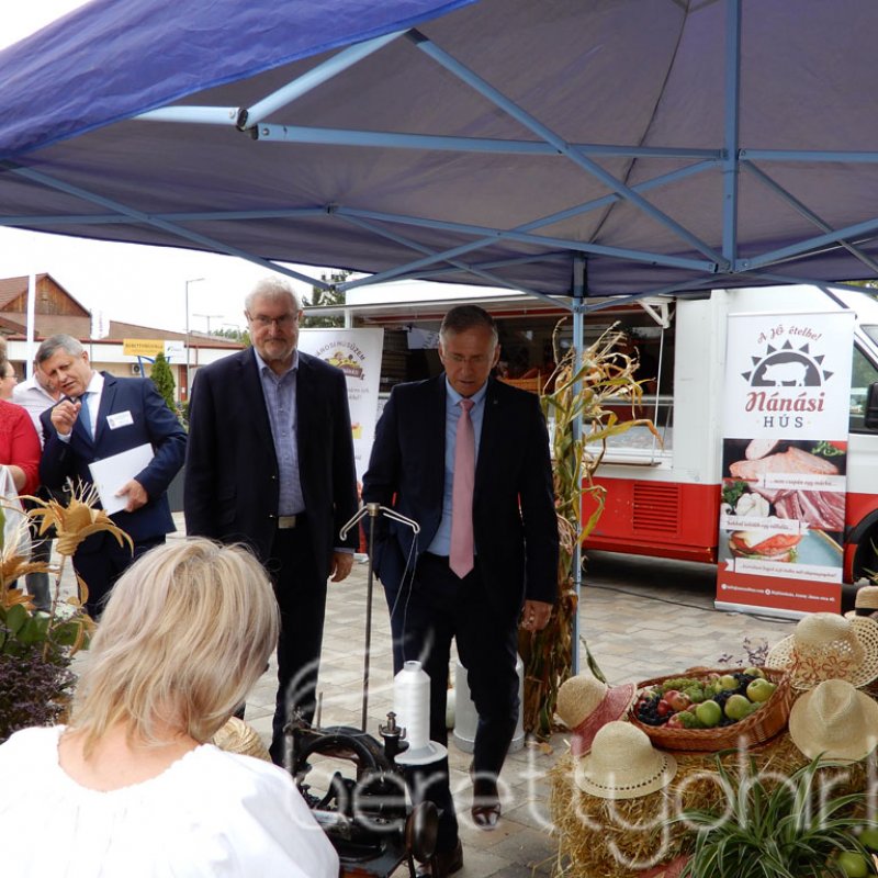 Helyi Értékek Startja 67